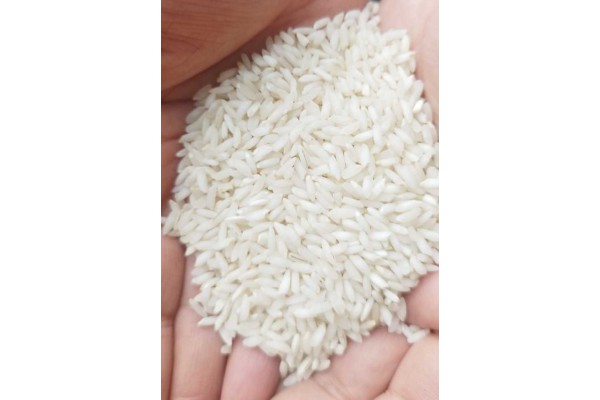 برنج عنبربو ونیم دانه درجه یک