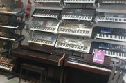 فروشگاه موسیقی ارگ و پیانو دیجیتال